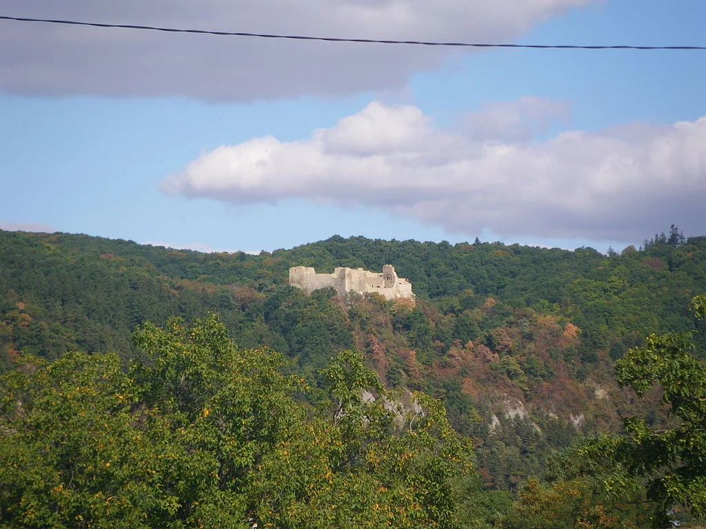 Neamt Citadel's view from afar surrounded by greens.